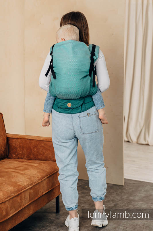 Lenny Lamb - LennyPreschool Carrier FOR PROFESSIONAL USE EDITION ENTWINE