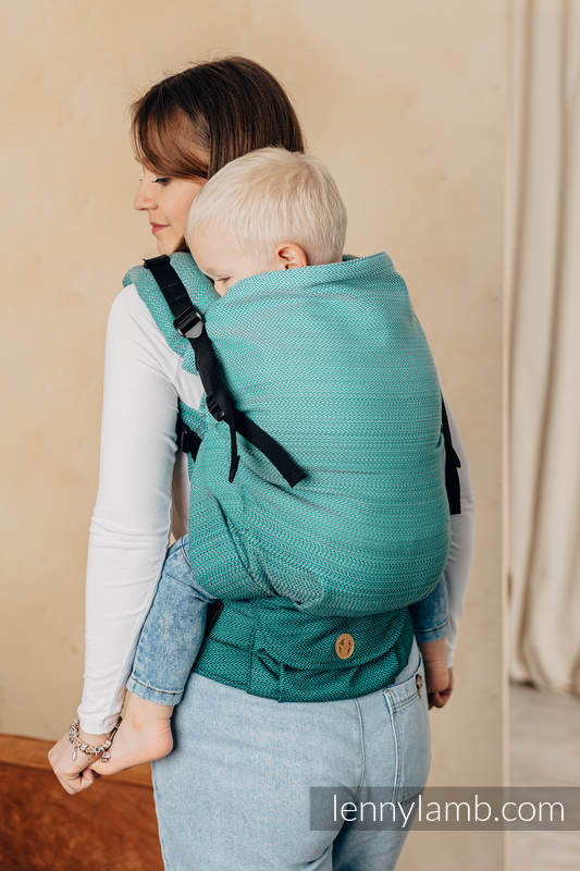 Lenny Lamb - LennyPreschool Carrier FOR PROFESSIONAL USE EDITION ENTWINE