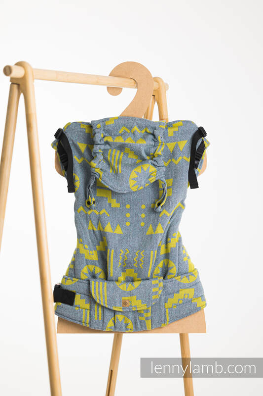 Lenny Lamb - LennyPreschool Carrier EXPERIMENT