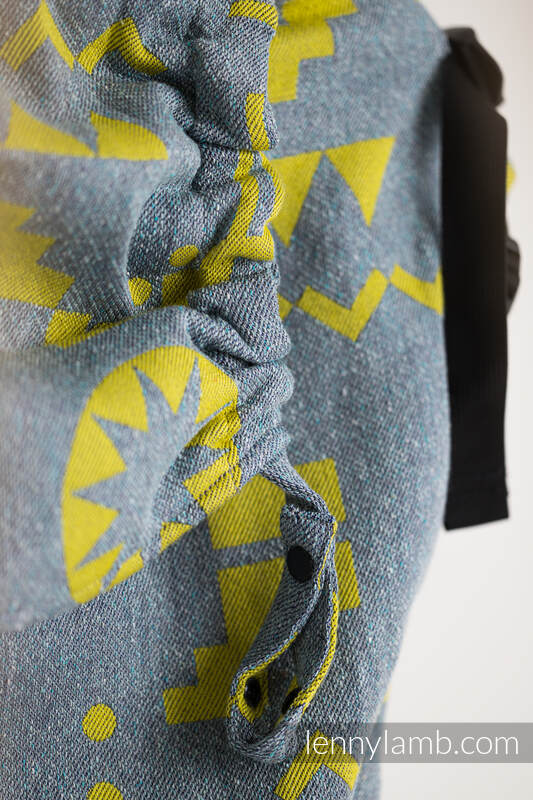 Lenny Lamb - LennyPreschool Carrier EXPERIMENT