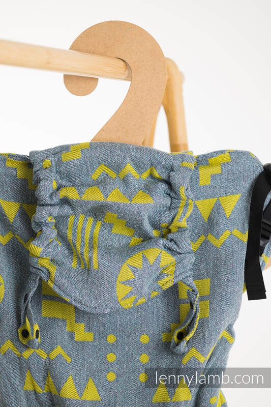 Lenny Lamb - LennyPreschool Carrier EXPERIMENT